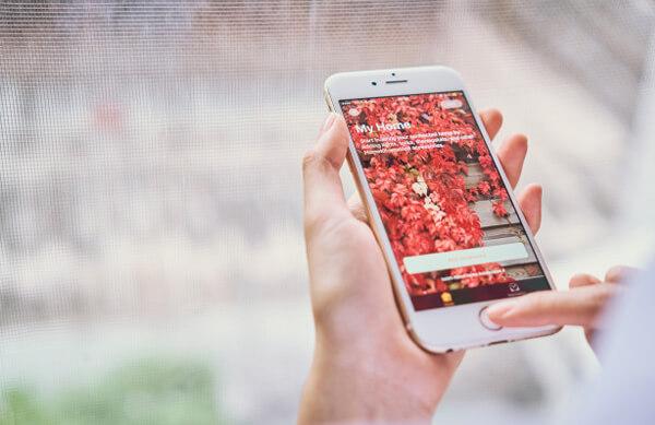 Software development services | Kerford